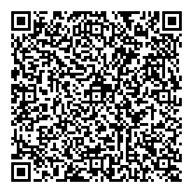 ADEEL-MD QR CODE